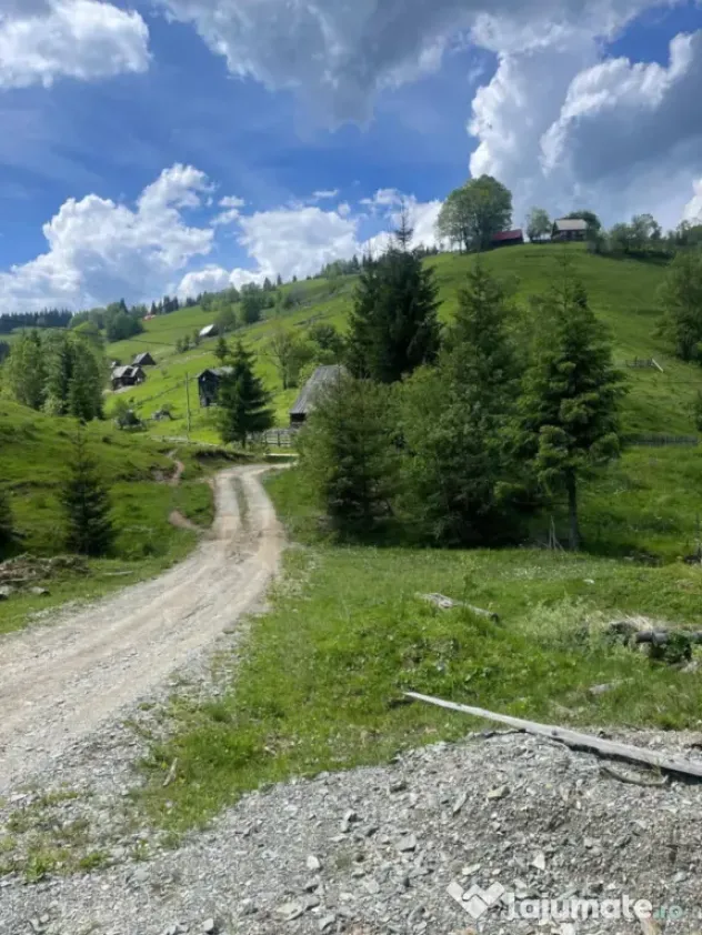 Vând teren intravilan in Băișoara