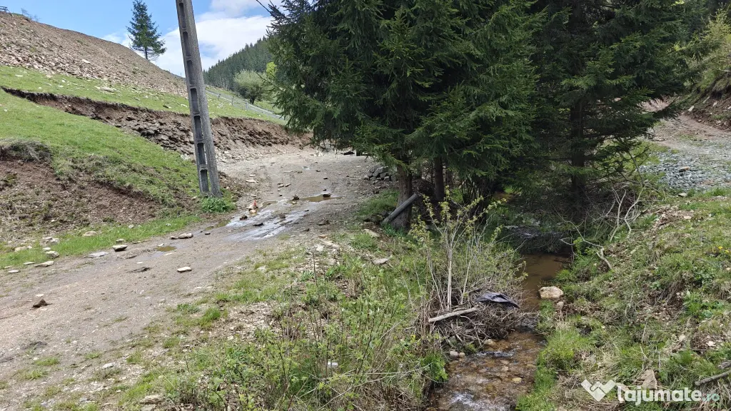 Vând teren intravilan in Băișoara