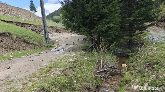 Vând teren intravilan in Băișoara