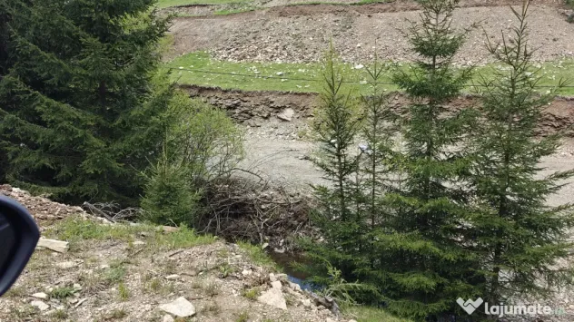 Vând teren intravilan in Băișoara