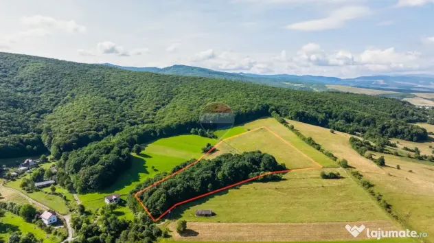 Comision 0| Proprietate cu 7 construcții intabulate și ...