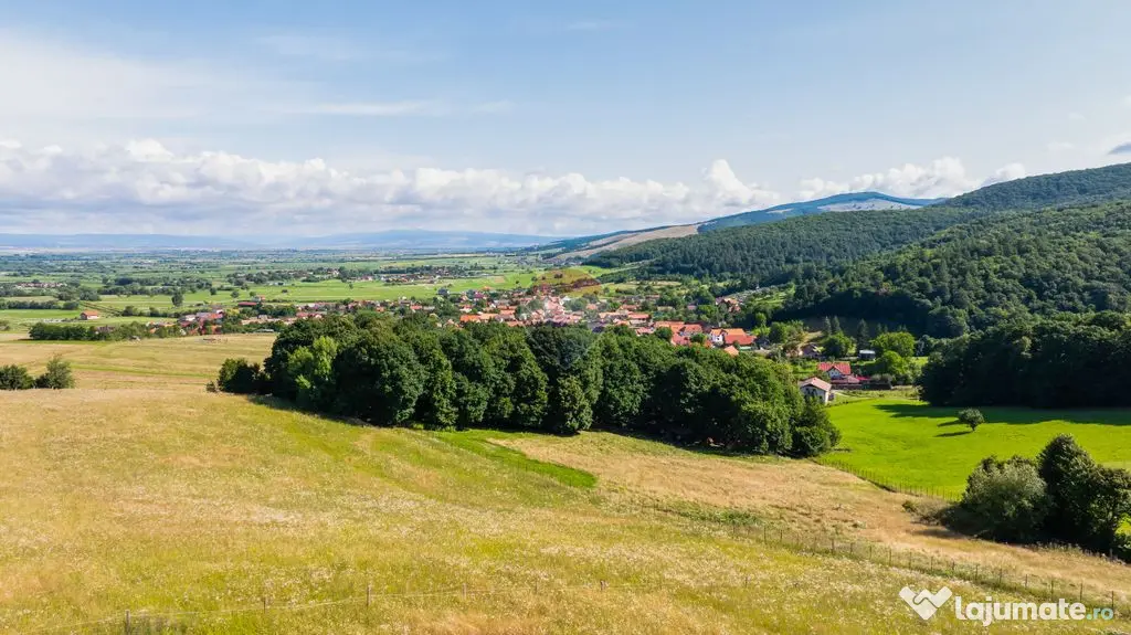 Comision 0| Proprietate cu 7 construcții intabulate și ...