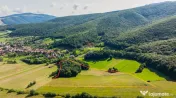 Comision 0| Proprietate cu 7 construcții intabulate și ...