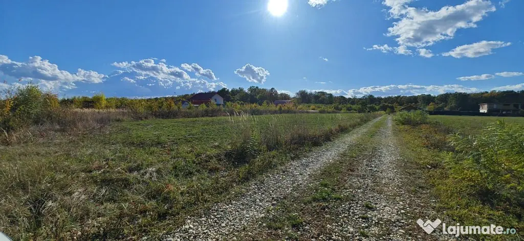 Refugiu la marginea padurii — 1000 mp de liniste in Coc...