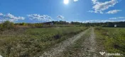 Refugiu la marginea padurii — 1000 mp de liniste in Coc...