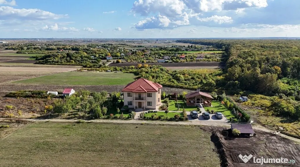 Refugiu la marginea padurii — 1000 mp de liniste in Coc...