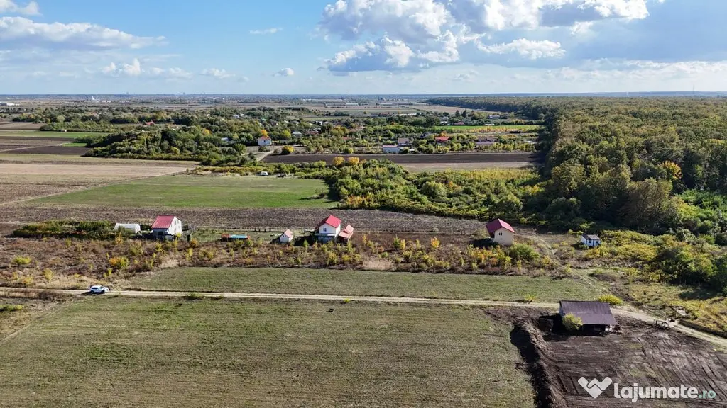 Refugiu la marginea padurii — 1000 mp de liniste in Coc...
