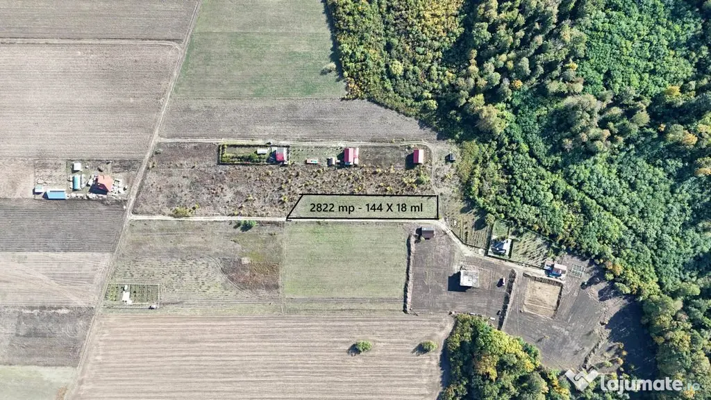 Refugiu la marginea padurii — 1000 mp de liniste in Coc...