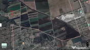 Refugiu la marginea padurii — 1000 mp de liniste in Coc...