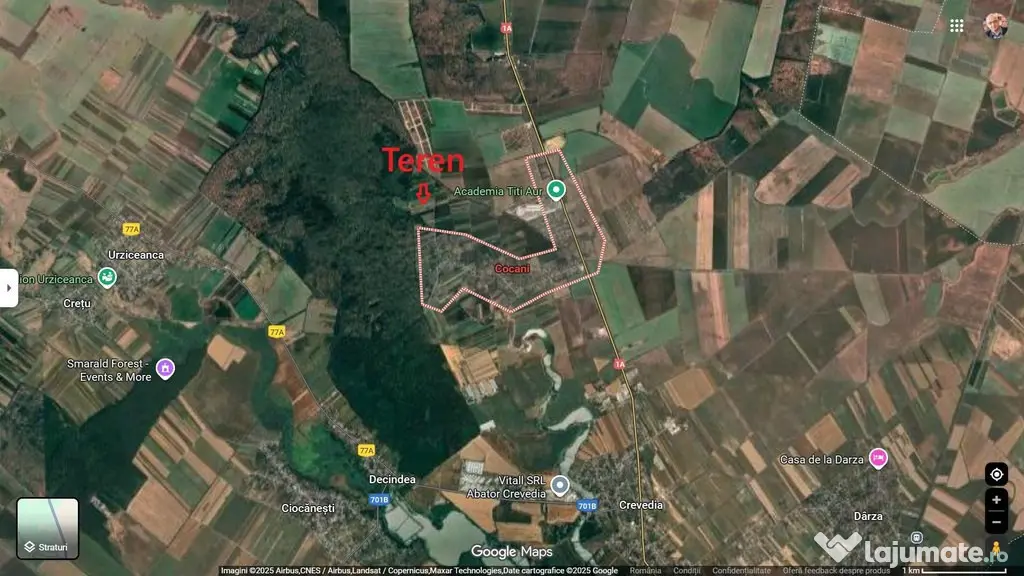 Refugiu la marginea padurii — 1000 mp de liniste in Coc...