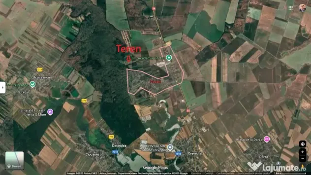 Refugiu la marginea padurii — 1000 mp de liniste in Coc...