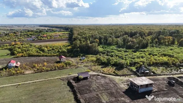 Refugiu la marginea padurii — 1000 mp de liniste in Coc...