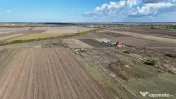Refugiu la marginea padurii — 1000 mp de liniste in Coc...