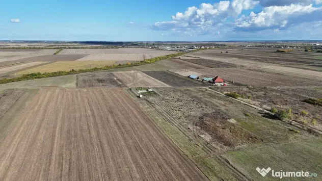 Refugiu la marginea padurii — 1000 mp de liniste in Coc...