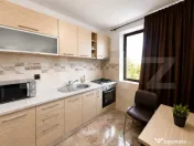 Apartament 2 camere, 46 mp, zona Gradina Botanica, Calea Sev 