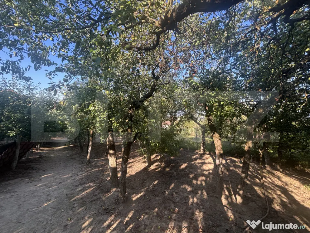 Casă de vânzare 77mp utili, teren 10 ari , zona Viile Satu