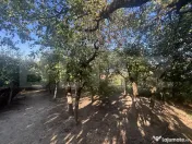 Casă de vânzare 77mp utili, teren 10 ari , zona Viile Satu 