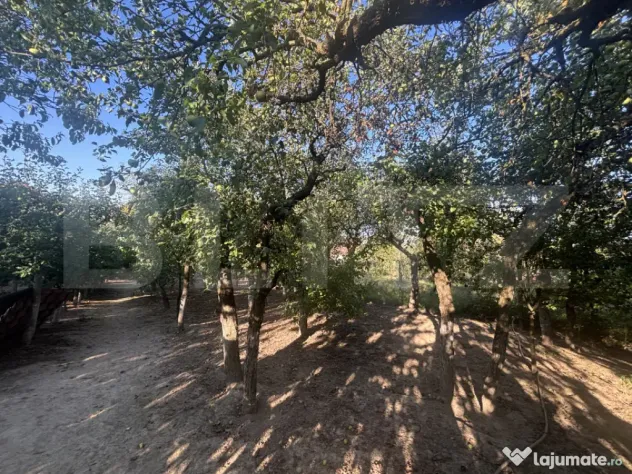 Casă de vânzare 77mp utili, teren 10 ari , zona Viile Satu