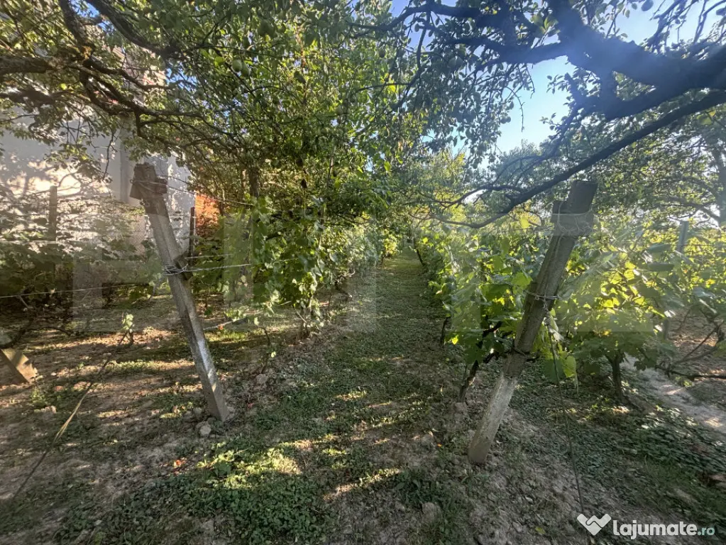 Casă de vânzare 77mp utili, teren 10 ari , zona Viile Satu