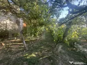 Casă de vânzare 77mp utili, teren 10 ari , zona Viile Satu 