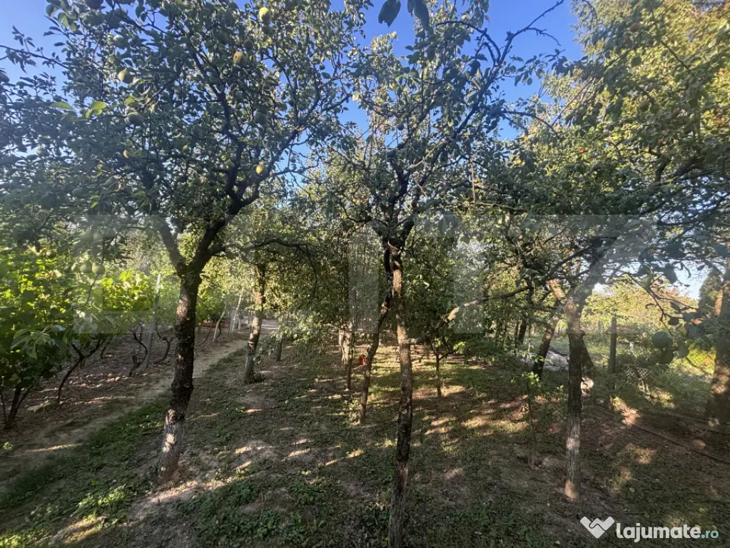 Casă de vânzare 77mp utili, teren 10 ari , zona Viile Satu