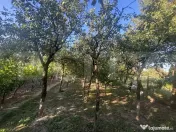 Casă de vânzare 77mp utili, teren 10 ari , zona Viile Satu 