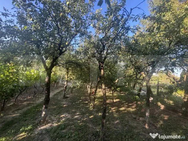 Casă de vânzare 77mp utili, teren 10 ari , zona Viile Satu