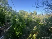 Casă de vânzare 77mp utili, teren 10 ari , zona Viile Satu 