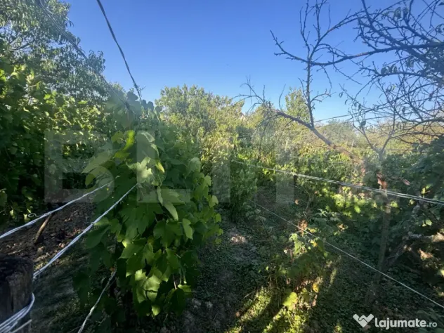 Casă de vânzare 77mp utili, teren 10 ari , zona Viile Satu
