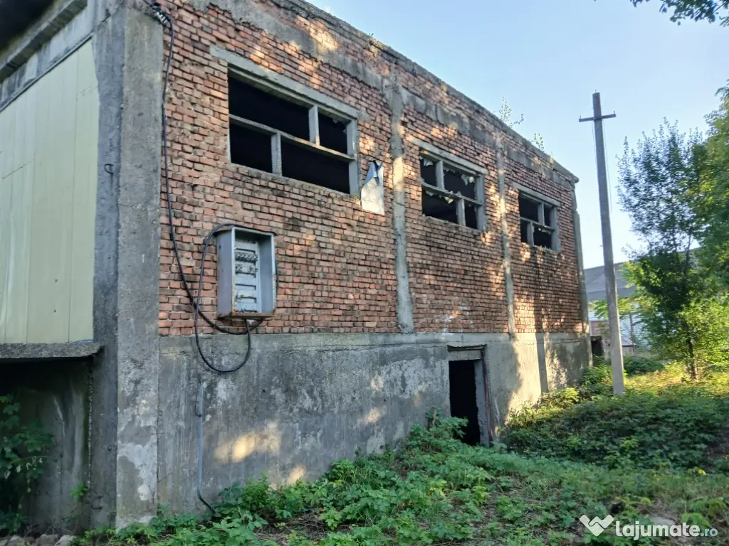 De închiriat/vânzare hală industrială în Roman, Neamț