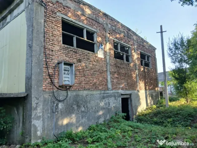 De închiriat/vânzare hală industrială în Roman, Neamț
