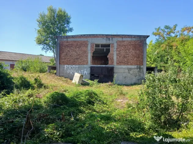 De închiriat/vânzare hală industrială în Roman, Neamț