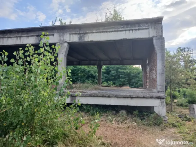 De închiriat/vânzare hală industrială în Roman, Neamț