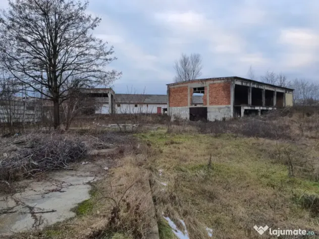 De închiriat/vânzare hală industrială în Roman, Neamț
