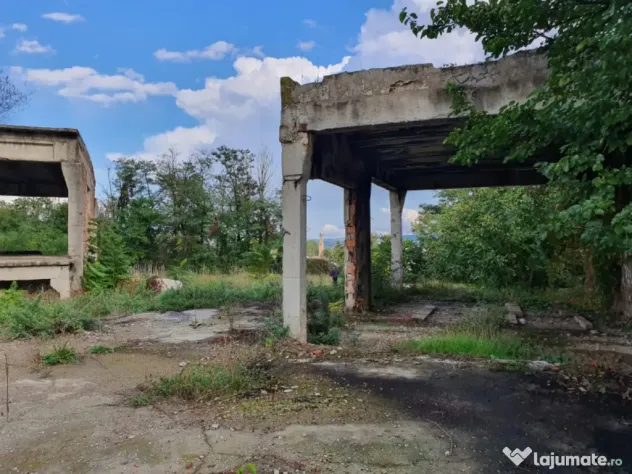 De închiriat/vânzare hală industrială în Roman, Neamț
