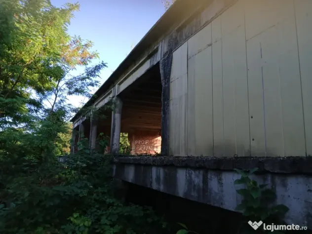 De închiriat/vânzare hală industrială în Roman, Neamț
