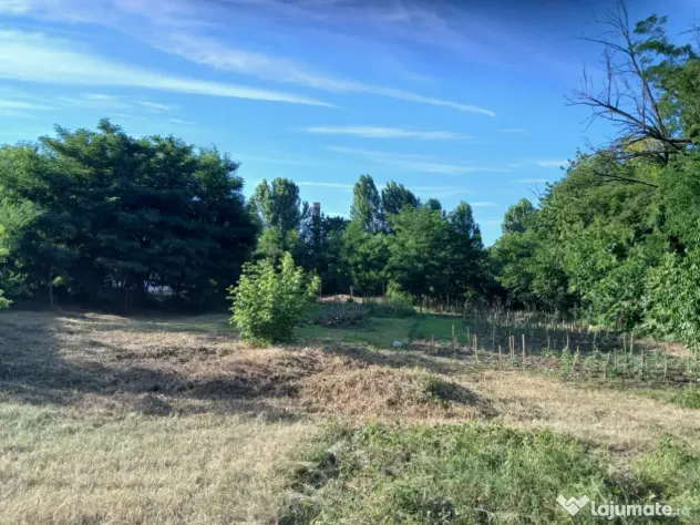 De închiriat/vânzare hală industrială în Roman, Neamț