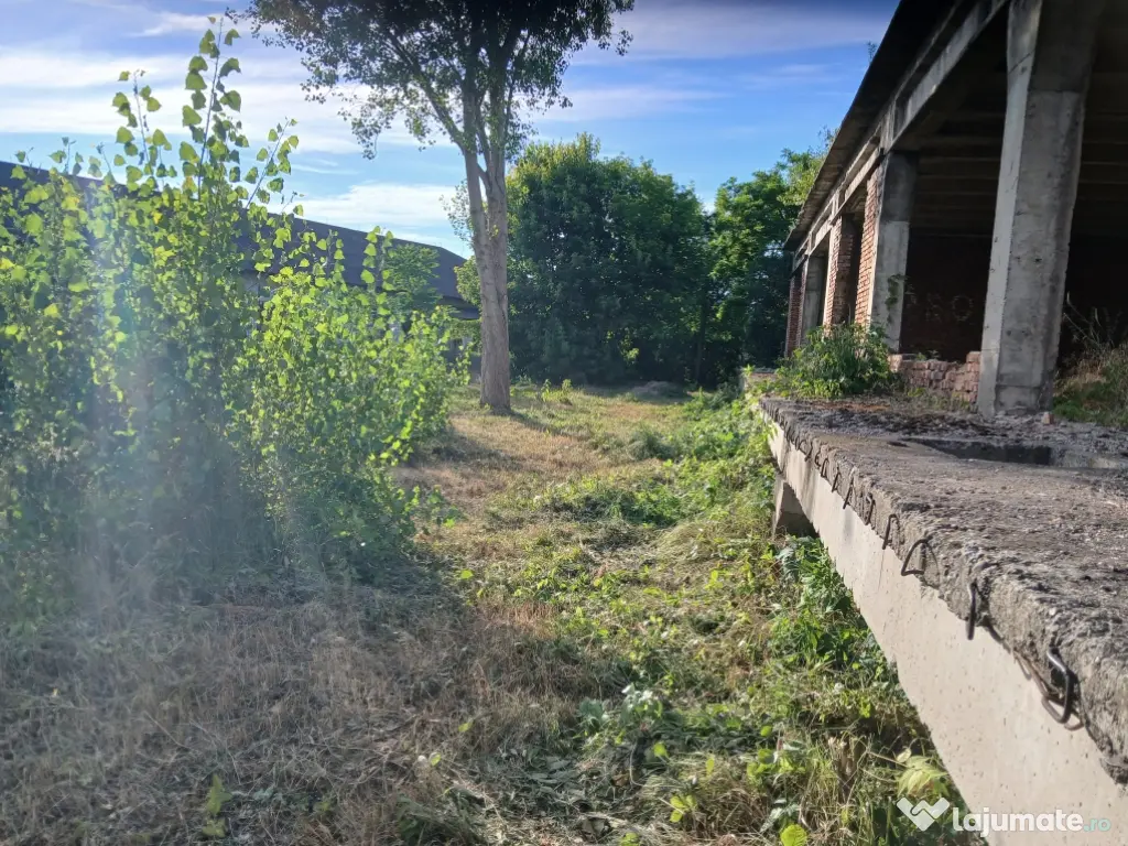 De închiriat/vânzare hală industrială în Roman, Neamț