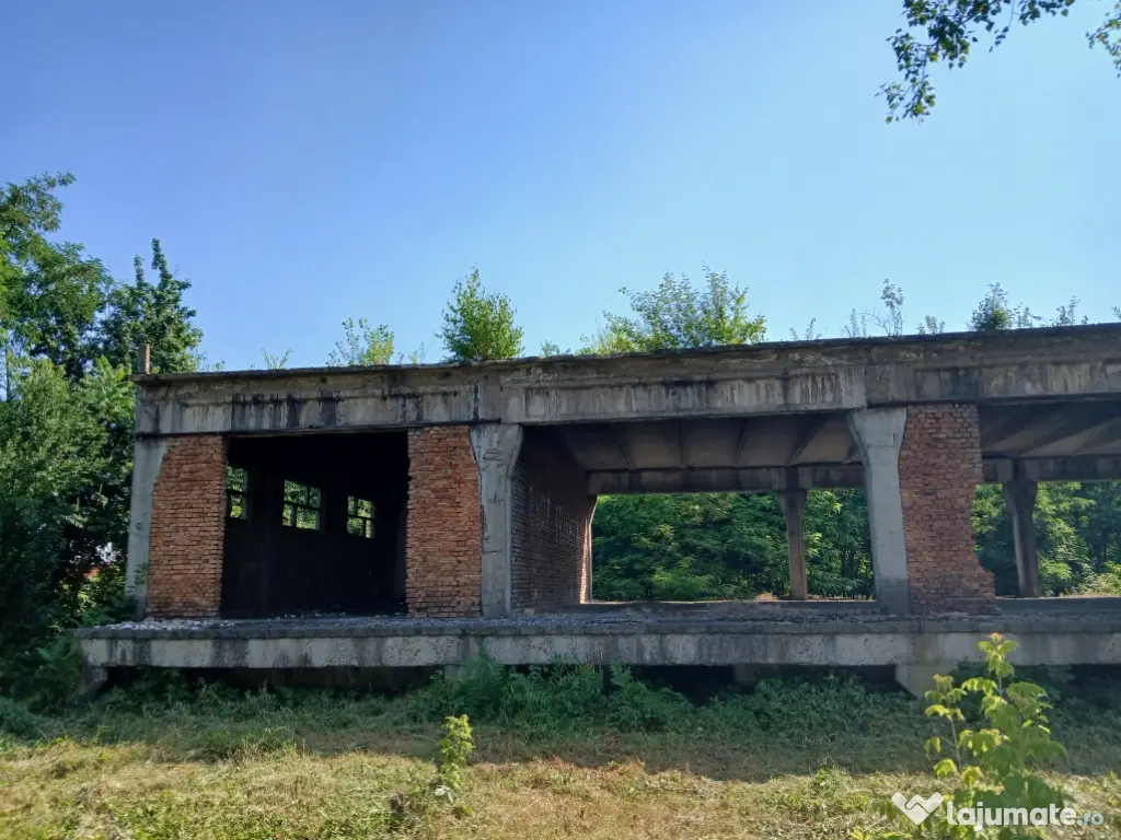 De închiriat/vânzare hală industrială în Roman, Neamț