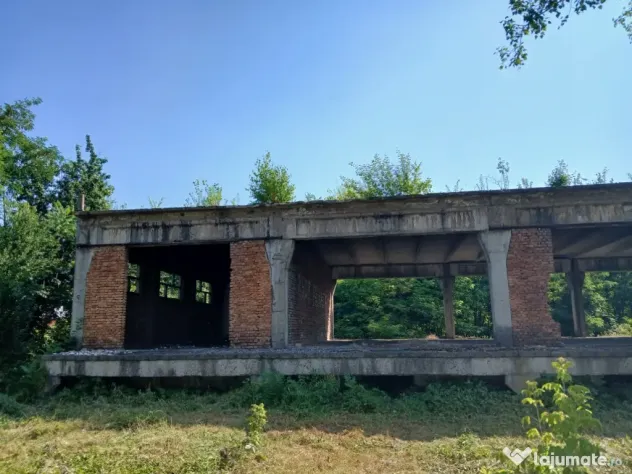De închiriat/vânzare hală industrială în Roman, Neamț