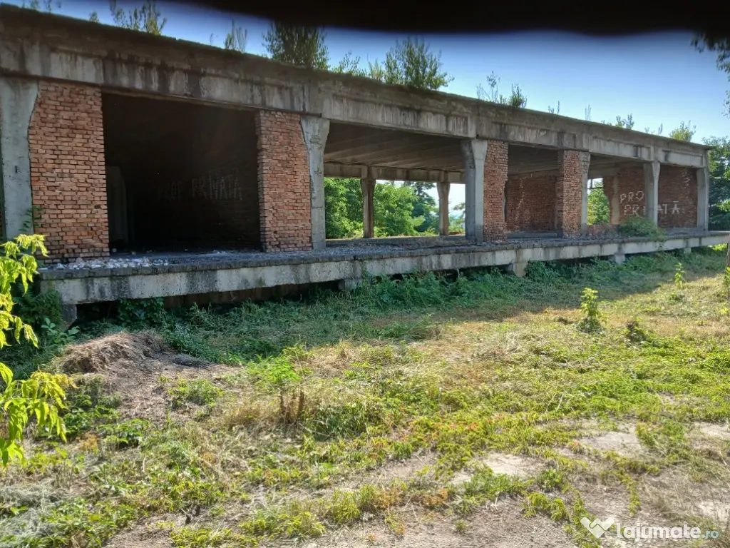 De închiriat/vânzare hală industrială în Roman, Neamț
