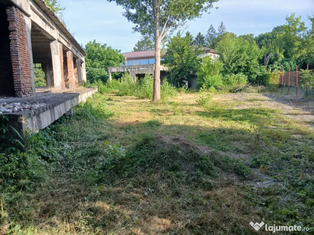De închiriat/vânzare hală industrială în Roman, Neamț