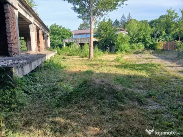 De închiriat/vânzare hală industrială în Roman, Neamț