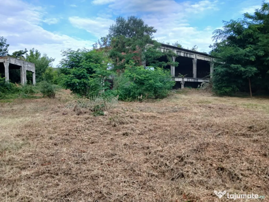 De închiriat/vânzare hală industrială în Roman, Neamț