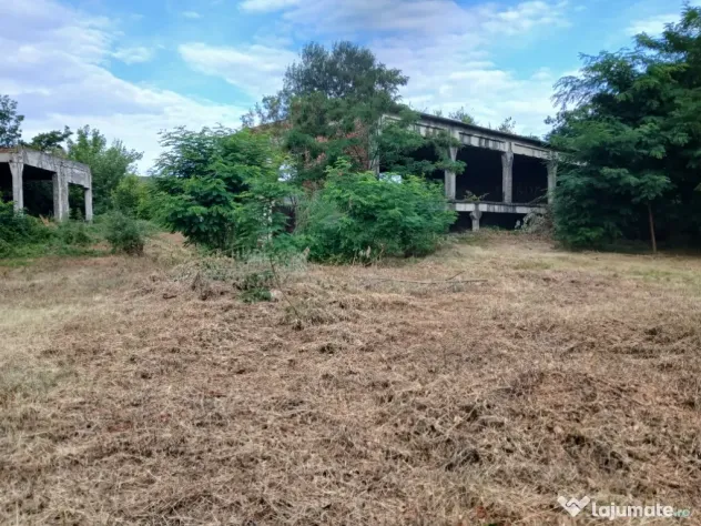 De închiriat/vânzare hală industrială în Roman, Neamț