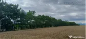 Teren pretabil exploatare balastiera Harman 