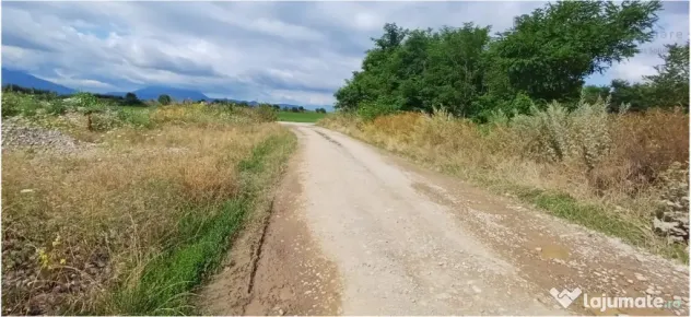 Teren pretabil exploatare balastiera Harman