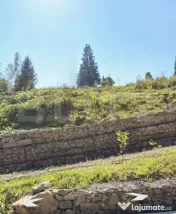Teren intravilan de 5.000 mp, la 200 m de Pârtia Rarău –