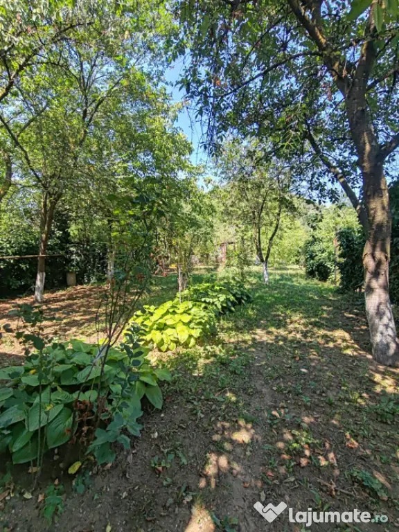 Casă individuală 170 mp, curte 683 mp, 2 garaje cu ușă a