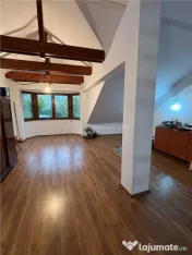 Vila Premium, Robusta, Versatila, Colentina (Parc Plumbuita)